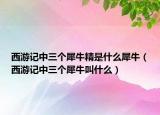 西游記中三個(gè)犀牛精是什么犀牛（西游記中三個(gè)犀牛叫什么）