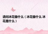 請(qǐng)問冰花像什么（冰花像什么 冰花是什么）