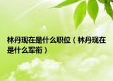 林丹現(xiàn)在是什么職位（林丹現(xiàn)在是什么軍銜）