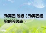 勁舞團 等級（勁舞團經(jīng)驗的等級表）