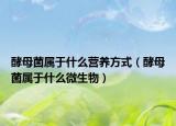 酵母菌屬于什么營(yíng)養(yǎng)方式（酵母菌屬于什么微生物）