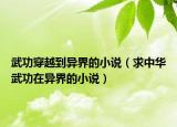 武功穿越到異界的小說（求中華武功在異界的小說）