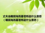 丈夫當(dāng)朝碧海而暮蒼梧是什么意思（朝碧海而暮蒼梧是什么意思）