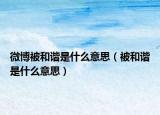 微博被和諧是什么意思（被和諧是什么意思）