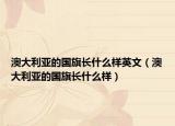 澳大利亞的國(guó)旗長(zhǎng)什么樣英文（澳大利亞的國(guó)旗長(zhǎng)什么樣）