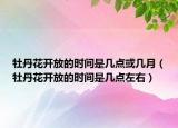 牡丹花開放的時間是幾點或幾月（牡丹花開放的時間是幾點左右）
