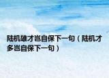 陸機(jī)雄才豈自保下一句（陸機(jī)才多豈自保下一句）