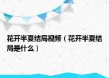 花開半夏結(jié)局視頻（花開半夏結(jié)局是什么）