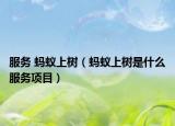 服務(wù) 螞蟻上樹（螞蟻上樹是什么服務(wù)項(xiàng)目）