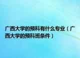 廣西大學(xué)的預(yù)科有什么專業(yè)（廣西大學(xué)的預(yù)科班條件）