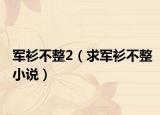 軍衫不整2（求軍衫不整小說）