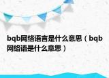 bqb網(wǎng)絡(luò)語言是什么意思（bqb網(wǎng)絡(luò)語是什么意思）