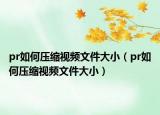 pr如何壓縮視頻文件大?。╬r如何壓縮視頻文件大?。? /></span></a>
                        <h2><a href=