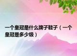 一個(gè)皇冠是什么牌子鞋子（一個(gè)皇冠是多少級(jí)）