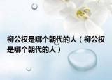 柳公權(quán)是哪個朝代的人（柳公權(quán)是哪個朝代的人）