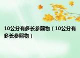 10公分有多長參照物（10公分有多長參照物）