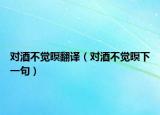 對(duì)酒不覺(jué)暝翻譯（對(duì)酒不覺(jué)暝下一句）