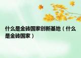 什么是金磚國家創(chuàng)新基地（什么是金磚國家）