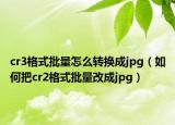cr3格式批量怎么轉(zhuǎn)換成jpg（如何把cr2格式批量改成jpg）