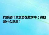 約數(shù)是什么意思在數(shù)學中（約數(shù)是什么意思）