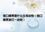 信口雌黃是什么生肖動物（信口雌黃言打一動物）
