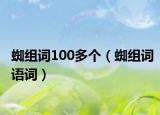 蜘組詞100多個(gè)（蜘組詞語(yǔ)詞）