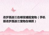 造夢西游三在哪里捕捉寵物（手機版造夢西游三寵物在哪抓）