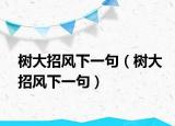 樹(shù)大招風(fēng)下一句（樹(shù)大招風(fēng)下一句）