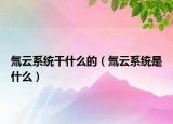 氚云系統(tǒng)干什么的（氚云系統(tǒng)是什么）