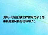 清風(fēng)一吹他們就怎樣仿寫句子（如果我是清風(fēng)我將仿寫句子）