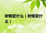 樹(shù)懶是什么（樹(shù)懶是什么）