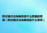 時(shí)過(guò)境遷滄海桑田是什么歌曲的歌詞（時(shí)過(guò)境遷滄海桑田是什么意思）