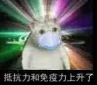 這只網(wǎng)紅貓貓到底出自哪里？看完這篇，我感覺(jué)奇怪的知識(shí)增加了