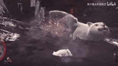 這只網(wǎng)紅貓貓到底出自哪里？看完這篇，我感覺(jué)奇怪的知識(shí)增加了