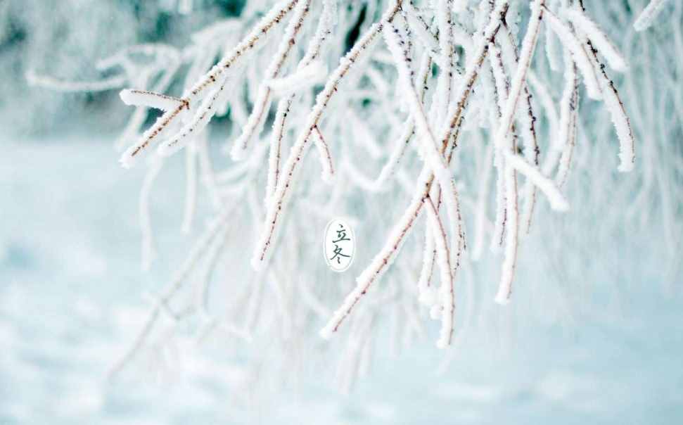 又是一年立冬時(shí)，十首立冬的古詩詞里，感受立冬的詩意