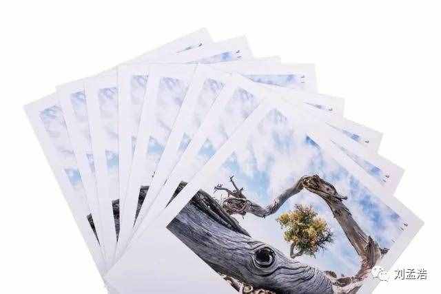 照片沖?。?種主流沖印照片方式測(cè)評(píng)
