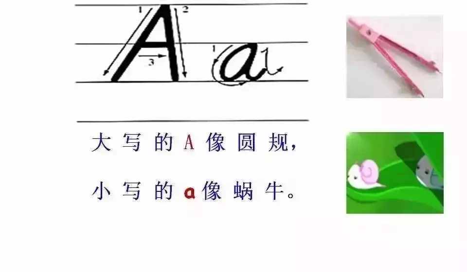 超詳細的26個英文字母書寫規(guī)范，趁暑假讓孩子把基本功練起來