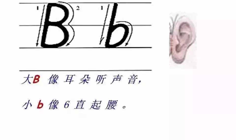 超詳細的26個英文字母書寫規(guī)范，趁暑假讓孩子把基本功練起來