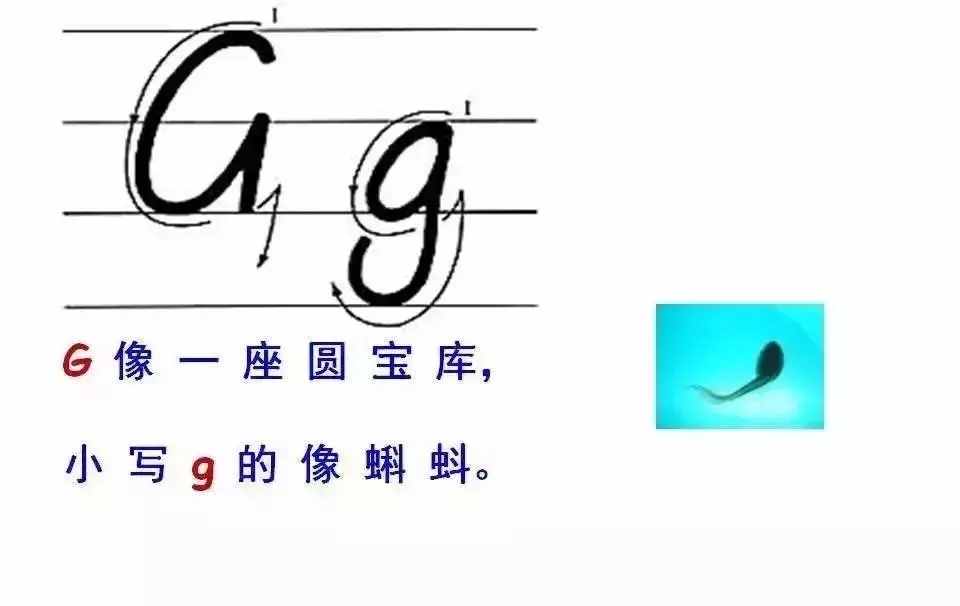 超詳細的26個英文字母書寫規(guī)范，趁暑假讓孩子把基本功練起來