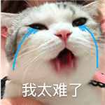 年紀(jì)輕輕，咋就“爺青結(jié)”了呢？