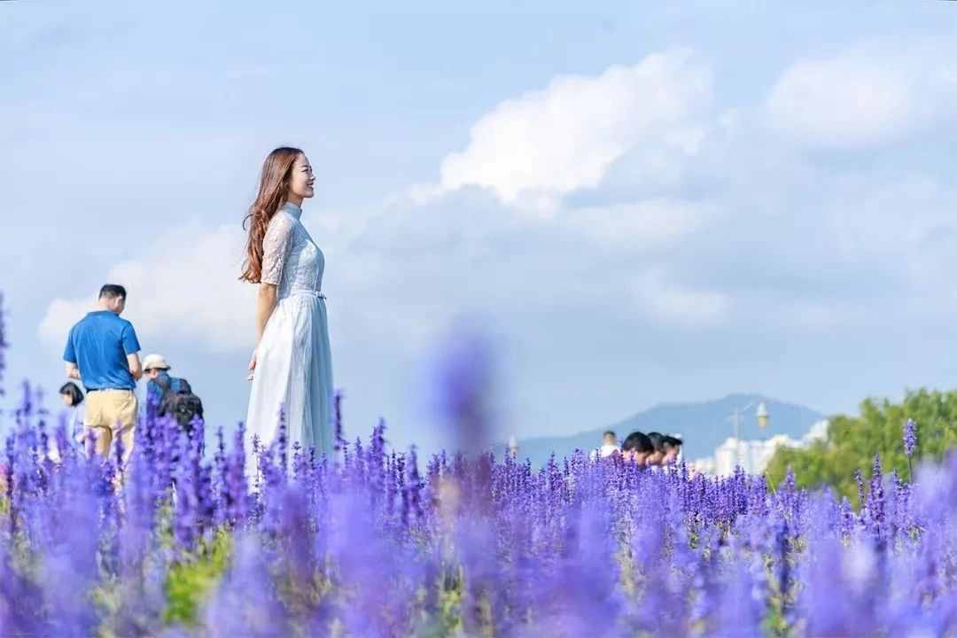 我們?cè)谏钲谕孀懔艘徽?，為你整理了這些好去處