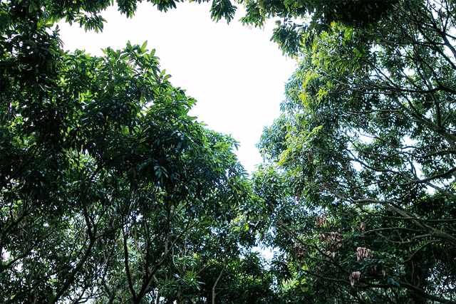 我們?cè)谏钲谕孀懔艘徽?，為你整理了這些好去處