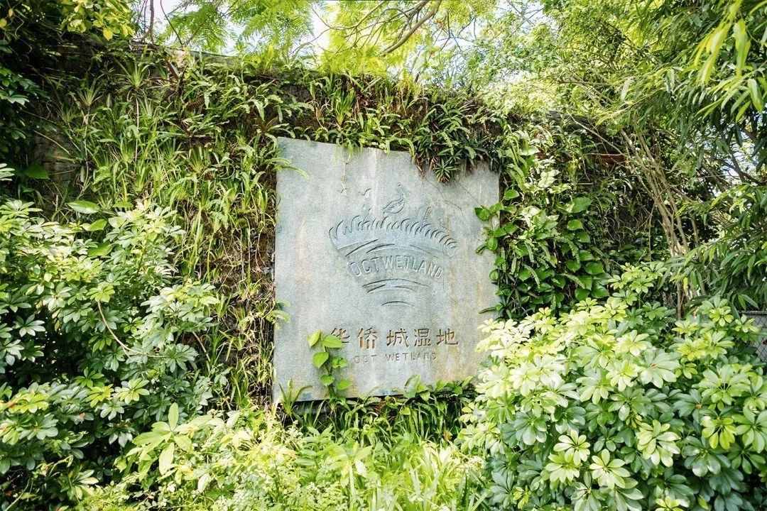我們?cè)谏钲谕孀懔艘徽?，為你整理了這些好去處