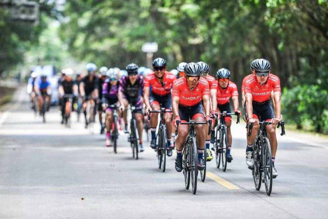 你一定想去的，海南自行車(chē)環(huán)島線(xiàn)路介紹，800公里的椰島風(fēng)光