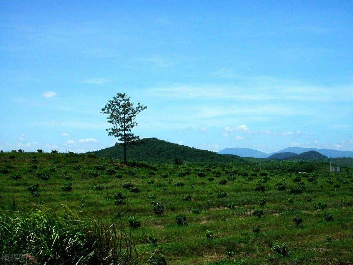 你一定想去的，海南自行車(chē)環(huán)島線(xiàn)路介紹，800公里的椰島風(fēng)光