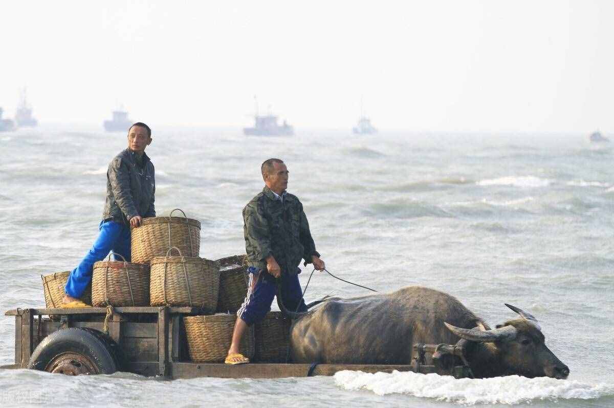 你一定想去的，海南自行車(chē)環(huán)島線(xiàn)路介紹，800公里的椰島風(fēng)光