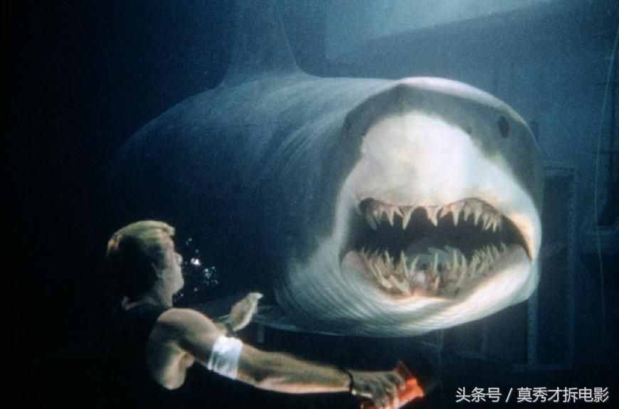 九部“鯊魚(yú)電影”排行：《巨齒鯊》暫列第三，第四名最值得推薦