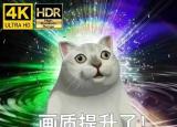 今日更新奇怪的知識(shí)增加了（奇怪的知識(shí)增加）