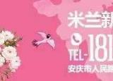 今日更新如何扎好看的頭發(fā)（教你簡單扎八款頭發(fā)非常漂亮）
