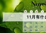 今日更新11月份有什么節(jié)日（11月份有什么節(jié)日 十一月份的節(jié)日一覽表）